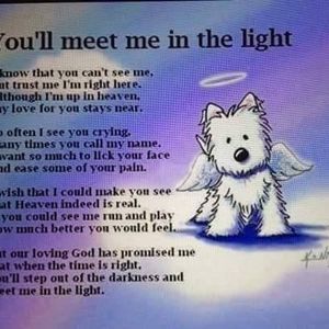 Meet your Posher, Evelyn